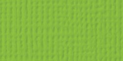 25 Pack - American Crafts 80lb Textured Cardstock 12"X12"-Cricket - AM710-60 - 718813710602