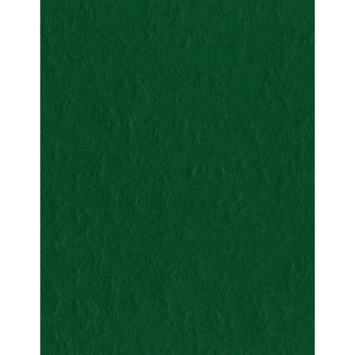 25 Pack - Bazzill Mono Cardstock 8.5"X11"-Classic Green/Canvas - MONO8-3696 - 846523036962