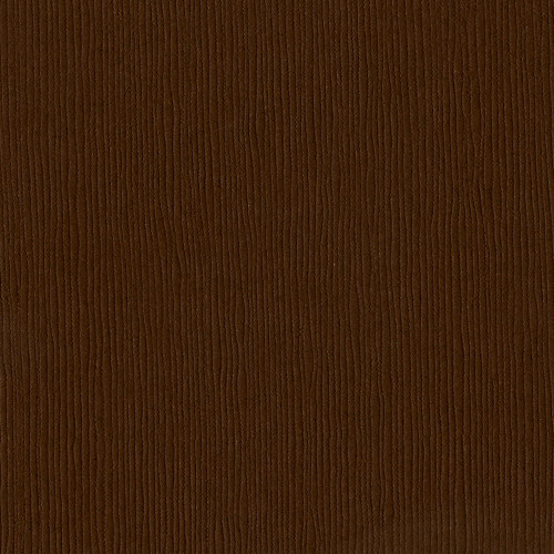 25 Pack - Bazzill Fourz Cardstock 12"X12"-Mocha Divine/Grasscloth - FOURZ12-941 - 846523009416