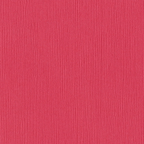 25 Pack - Bazzill Fourz Cardstock 12"X12"-Passionate/Grasscloth - FOURZ12-879 - 846523008792
