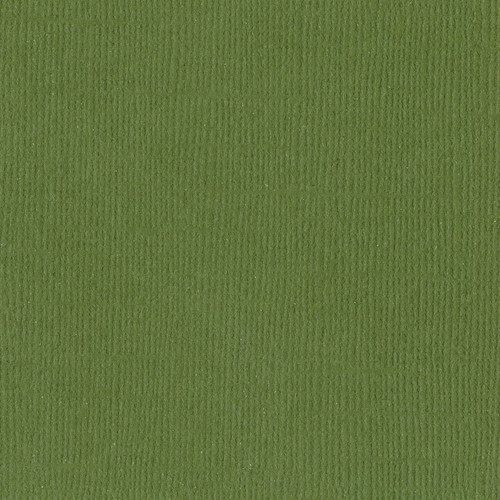 25 Pack - Bazzill Mono Cardstock 12"X12"-Nixon/Canvas - MONO12-3391 - 846523033916