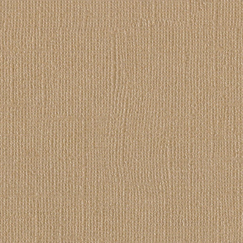 25 Pack - Bazzill Bling Cardstock 12"X12"-Blank Check - BLING12-2117 - 846523021173