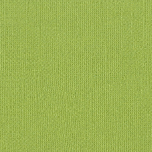 25 Pack - Bazzill Mono Cardstock 12"X12"-Parakeet/Canvas - MONO12-9237 - 870709003509