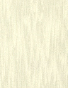 25 Pack - Bazzill Fourz Cardstock 8.5"X11"-French Vanilla/Grasscloth - FOURZ8-1022 - 846523010221