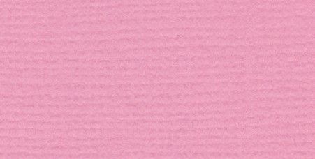 25 Pack - Bazzill Mono Cardstock 12"X12"-Petunia/Canvas - MONO12-9275 - 870709002960 25 Pack - Bazzill Mono Cardstock 12"X12"-Petunia/Canvas - MONO12-9275 - 870709002960