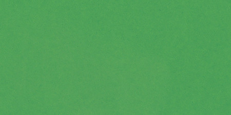 25 Pack - Bazzill Smoothies Cardstock 12"X12"-Green Apple - SMTH12-37 - 846523000376