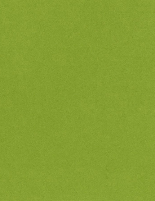 25 Pack - Bazzill Card Shoppe Heavyweight Cardstock 8.5"X11"-Easter Grass - CS8-4208 - 846523042086