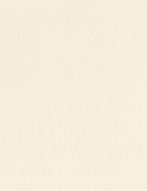 25 Pack - Bazzill Card Shoppe Heavyweight Cardstock 8.5"X11"-Butter Mints - CS8-4218 - 846523042185