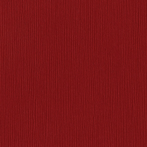 25 Pack - Bazzill Fourz Cardstock 12"X12"-Ruby Slipper/Grasscloth - FOURZ12-876 - 846523008761