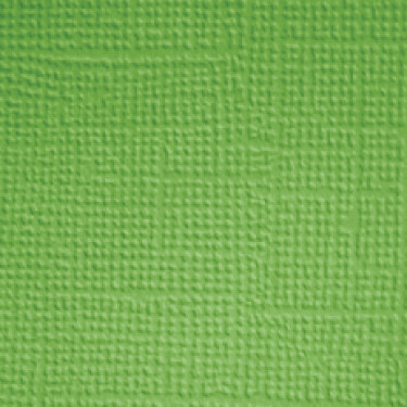 25 Pack - Doodlebug Textured Cardstock 12"X12"-Grasshopper - DTC-3388 - 842715033887
