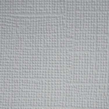 25 Pack - Doodlebug Textured Cardstock 12"X12"-Stone Gray - DTC-3411 - 842715034112