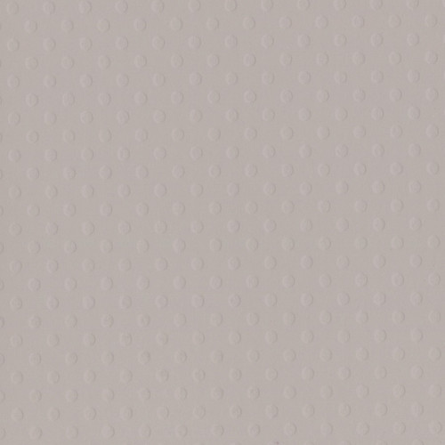 25 Pack - Bazzill Dotted Swiss Cardstock 12"X12"-Front Porch/Dotted Swiss - DOTSW12-5032 - 846523050326