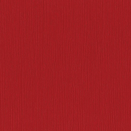 25 Pack - Bazzill Fourz Cardstock 12"X12"-Grenadine/Grasscloth - FOURZ12-874 - 846523008747