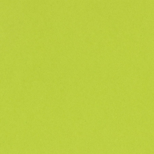 25 Pack - Bazzill Card Shoppe Heavyweight Cardstock 12"X12"-Juicy Pear - CS12-4559 - 846523045599