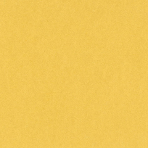 25 Pack - Bazzill Card Shoppe Heavyweight Cardstock 12"X12"-Banana Split - CS12-4555 - 846523045551