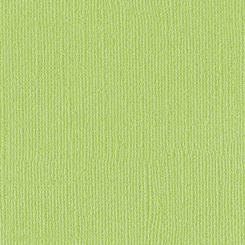 25 Pack - Bazzill Bling Cardstock 12"X12"-Petty Cash - BLING12-2106 - 846523021067