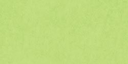 25 Pack - American Crafts Smooth Cardstock 12"X12"-Key Lime - AM71-779 - 718813717793 25 Pack - American Crafts Smooth Cardstock 12"X12"-Key Lime - AM71-779 - 718813717793
