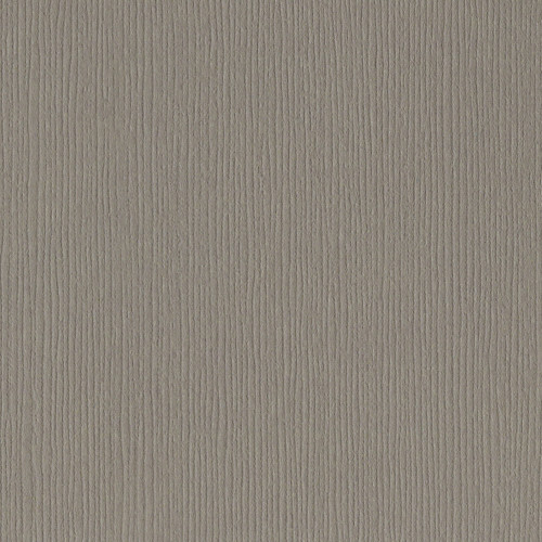 25 Pack - Bazzill Fourz Cardstock 12"X12"-Stonehenge/Grasscloth - FOURZ12-947 - 846523009478