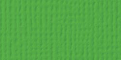 25 Pack - American Crafts 80lb Textured Cardstock 12"X12"-Grass - AM710-53 - 718813710534 25 Pack - American Crafts 80lb Textured Cardstock 12"X12"-Grass - AM710-53 - 718813710534