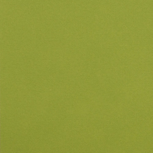 25 Pack - American Crafts 80lb Textured Cardstock 12"X12"-Leaf - AM710-52 - 718813710527