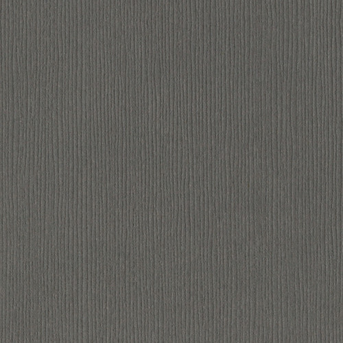 25 Pack - Bazzill Fourz Cardstock 12"X12"-Zinc/Grasscloth - FOURZ12-4104 - 846523041041