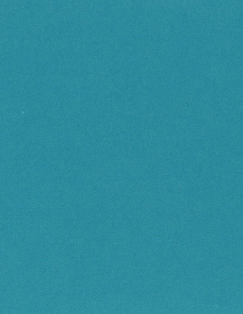 25 Pack - Bazzill Card Shoppe Heavyweight Cardstock 8.5"X11"-Candy Necklace - CS8-4211 - 846523042116