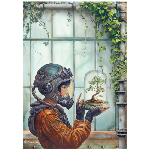 6 Pack - Stamperia Rice Paper Sheet A4-A New Beginning Terrarium - 5A003L03-1HGJL - 5993110051213