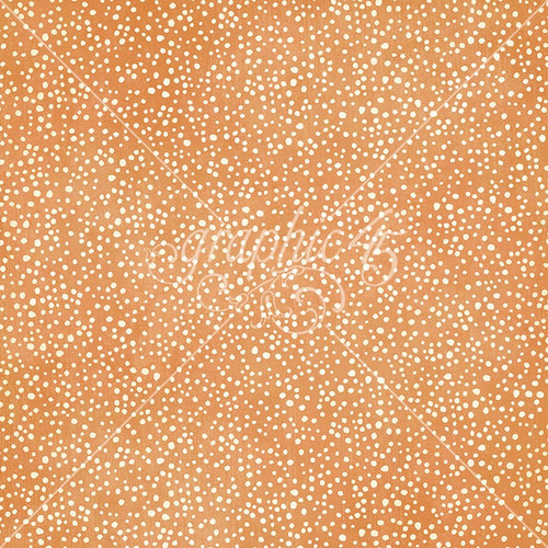 15 Pack - Graphic 45 Scenic Route Double-Sided Cardstock 12"X12"-Joy In The Journey - 5A003JZS-1HF90