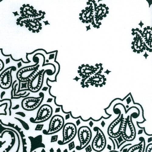 3 Pack - Carolina Hav-A-Hank Paisley Bandanna 22"X22"-White - B22PAI-28 - 070685100289