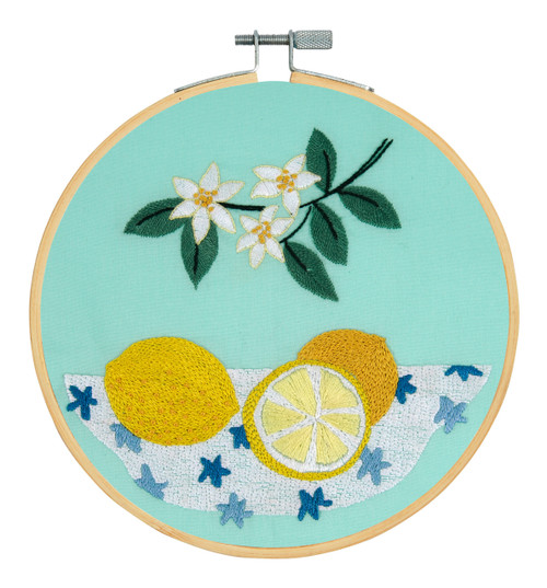 DMC Embroidery Beginner Kits-Lemons 9.8"X9.8" - 5A003KSR-1HG8D