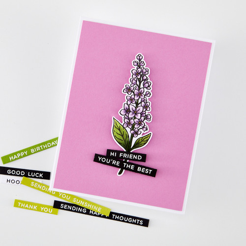Hero Arts Clear Stamps 4"X6"-Everyday Sentiment Strips 2 - 5A003KKZ-1HFZN