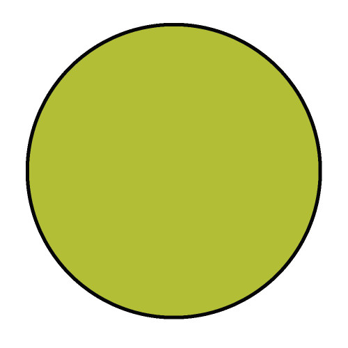 Ranger Archival Ink Pad #0-Avocado Toast - AIP-1HFYQ