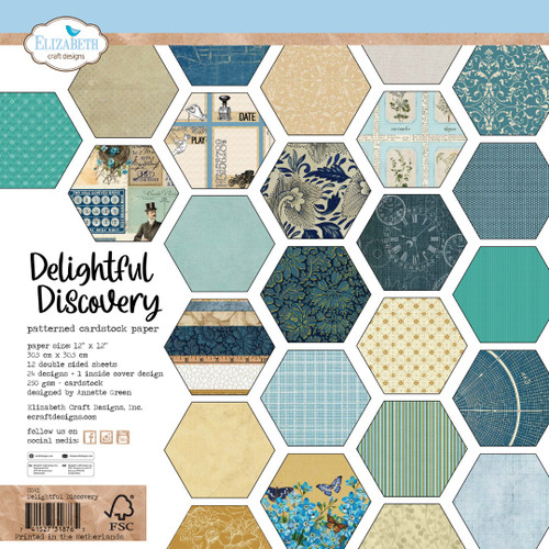 Elizabeth Craft Double-Sided Cardstock Pack 12"X12"-Delightful Discovery - 5A003KBS-1HFMG - 741527318765