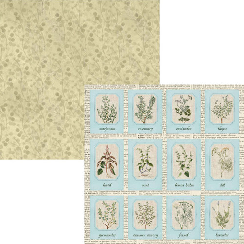 Elizabeth Craft Double-Sided Cardstock Pack 12"X12"-Delightful Discovery - 5A003KBS-1HFMG