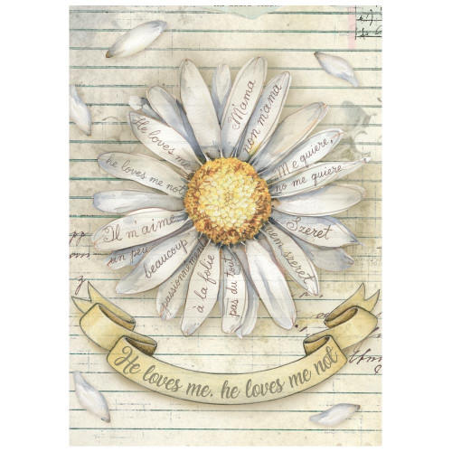 Stamperia Rice Paper A6 8/Pkg-Daisy Art - 5A003K4W-1HFH5