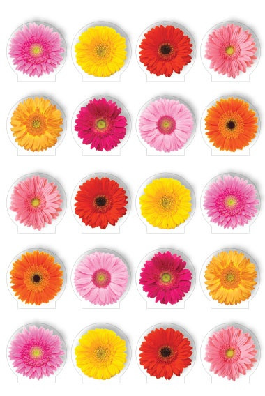 Paper House Pop Up Stickers-Gerbera Daisies - 5A003K3M-1HFD8 - 767636852983