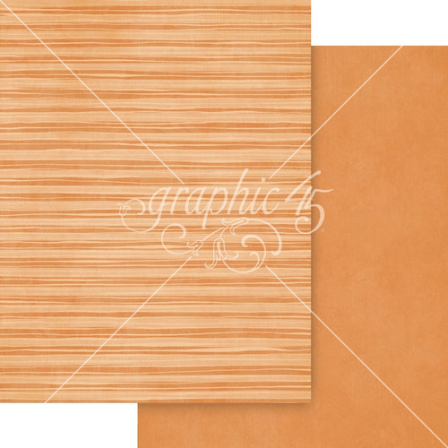 Graphic 45 Patterns & Solids Collection Pack 8.5"X11"-Scenic Route - 5A003JZJ-1HF9X