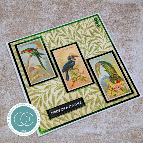 Craft Consortium Double-Sided Paper Pad 12"X12" 30/Pkg-The Collector - 5A003JYB-1HF7J