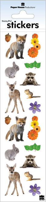 Paper House Stickers-Backyard Friends - ST-2255E - 767636253988