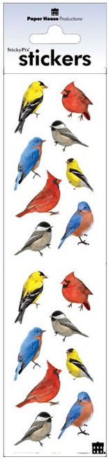 Paper House Stickers 2.25"X9.5"-Backyard Birds - PHST2X4-2215E - 767636253582