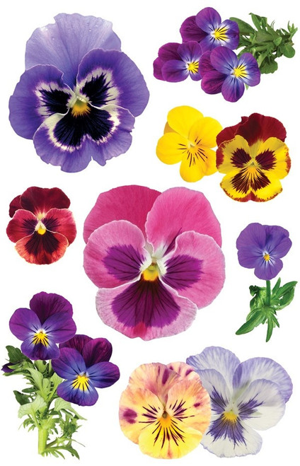 Paper House 3D Stickers 4.5"X7.5"-Pansies - STDM0120 - 767636376175