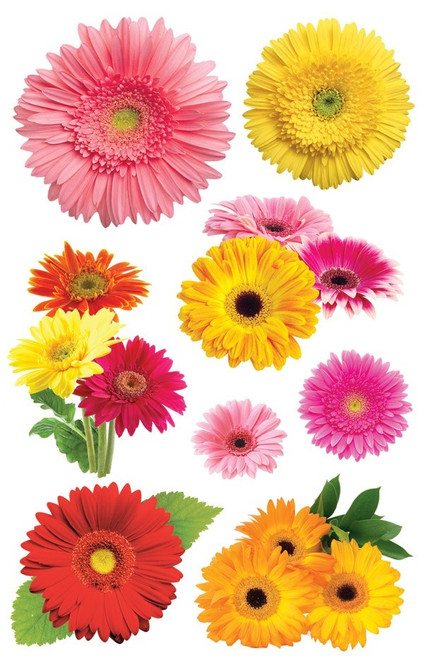 Paper House 3D Stickers 4.5"x8.5"-Gerbera - STDM0121 - 767636376182