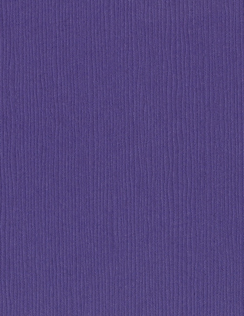 25 Pack - Bazzill Fourz Cardstock 8.5"X11"-Purple Pizzazz/Grass Cloth - FOURZ8-657 - 846523009898