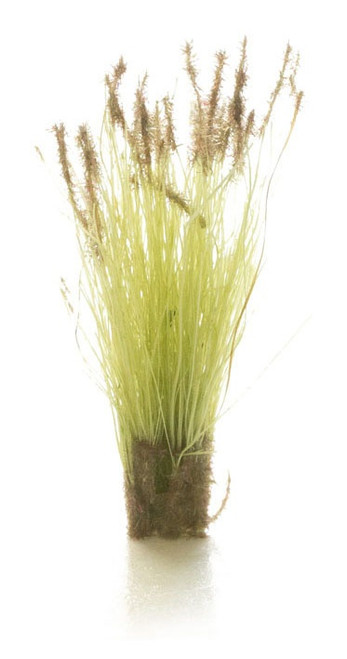 Woodland Scenics Prairie Grass 20/Pkg-Brown Tipped - 5A003JB0-1HDMH