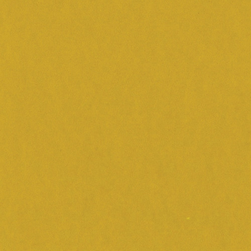 25 Pack - Bazzill Card Shoppe Heavyweight Cardstock 12"X12"-Gold Coins - CS12-4556 - 846523045568