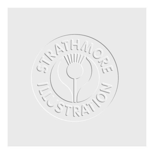 10 Pack - Strathmore 500 Series Heavyweight Vellum Illustration Board-20"X30" - 5A003694-1H7D4 - 112017561556