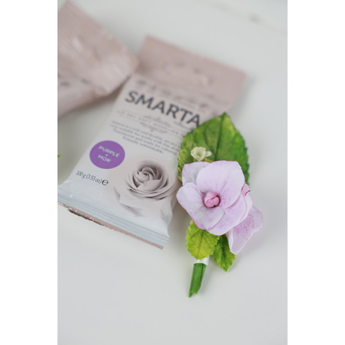 6 Pack - Smarta Air Dry Modeling Clay 100gr-Purple - A5003MNL-H1J5M
