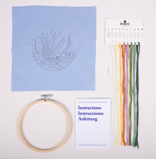 3 Pack - DMC Embroidery Beginner Kits-Pineapple 9.8"X9.8" - 5A003KSS-1HG8B