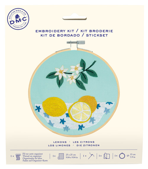 3 Pack - DMC Embroidery Beginner Kits-Lemons 9.8"X9.8" - 5A003KSR-1HG8D - 3357995070905