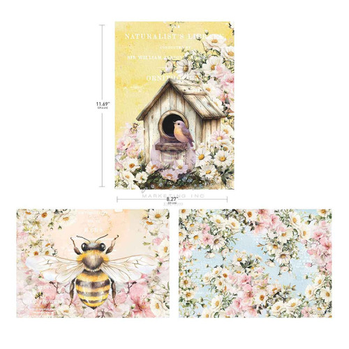 3 Pack - Prima A4 Decoupage Sheets 3/Pkg-Among the Wildflowers - 5A003KTN-1HG93 - 655350682293